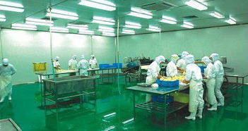 电子厂部门解读与通讯设备岗位解析 哪个部门更轻松？